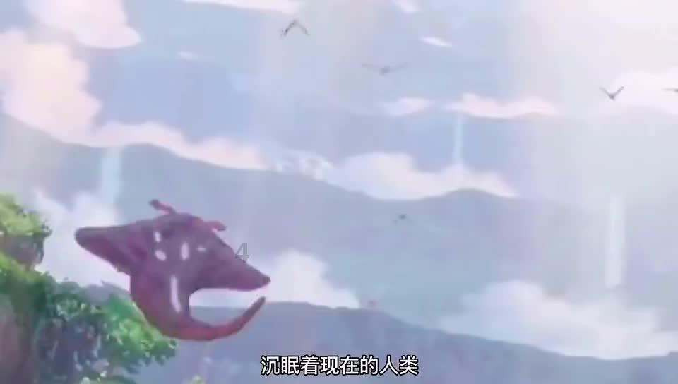 春雨直播app