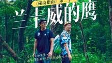 可爱奥莉甜美夏装